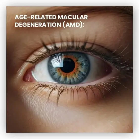 AMD-age-related-macular-degeneration