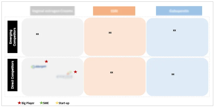 Competitive landscape Market report