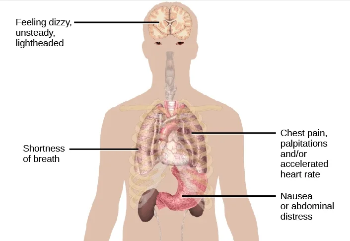 Social Anxiety Disorder Market report