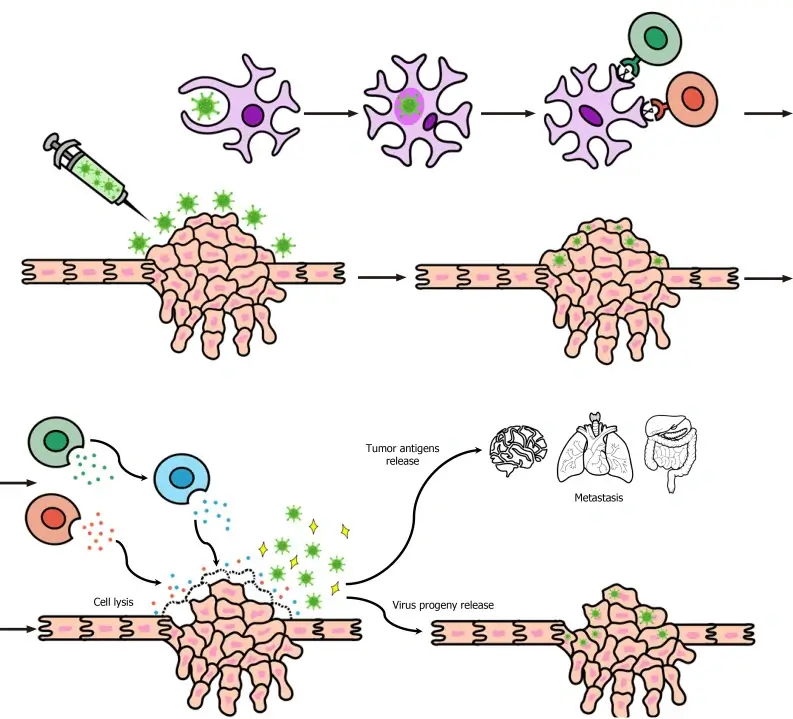 oncolytic-virus-therapy