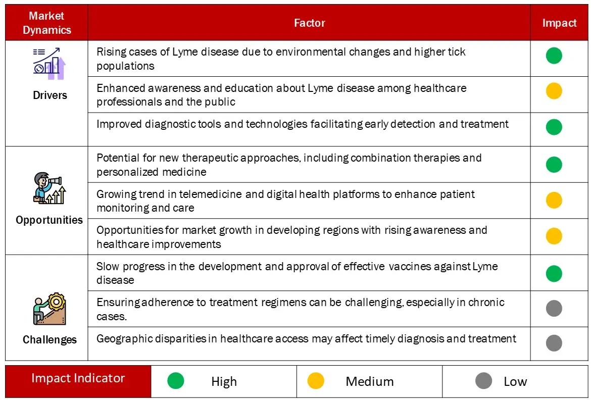 CAGR PROJECTIONS FROM MARKET DYNAMICS ANALYSIS (2024-2030) Lyme Disease