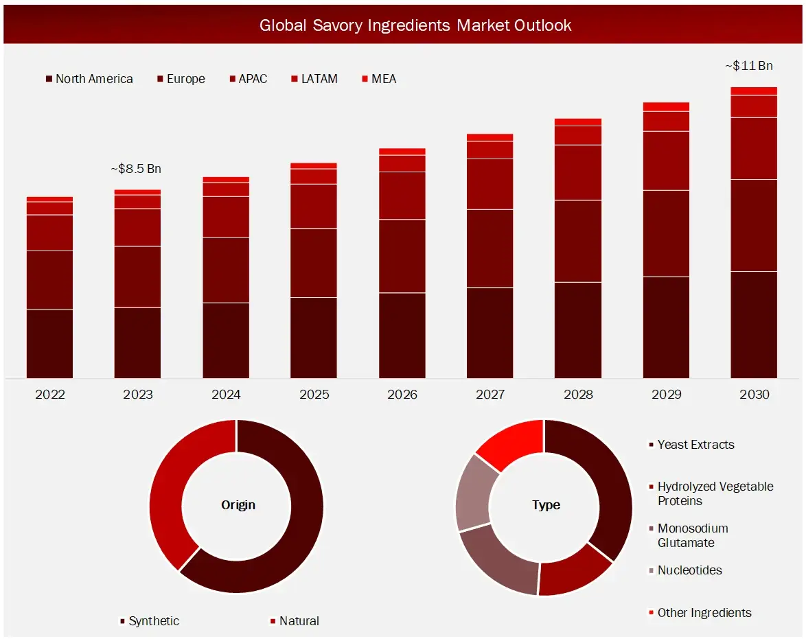 Global Savory Ingredients Market outlook