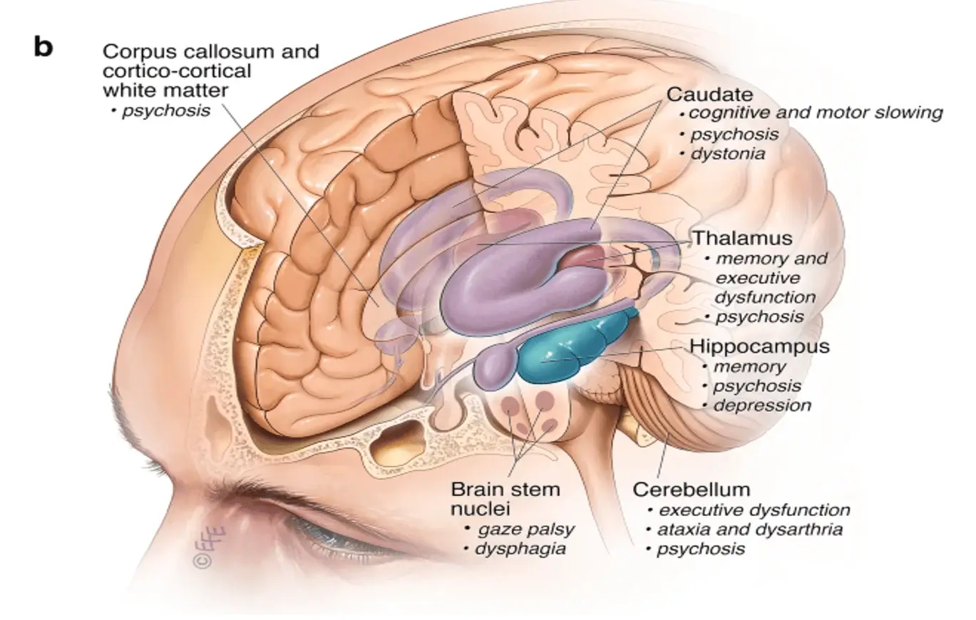 cognitive system