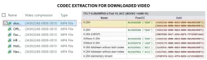 Codec Extraction for Downloaded Video